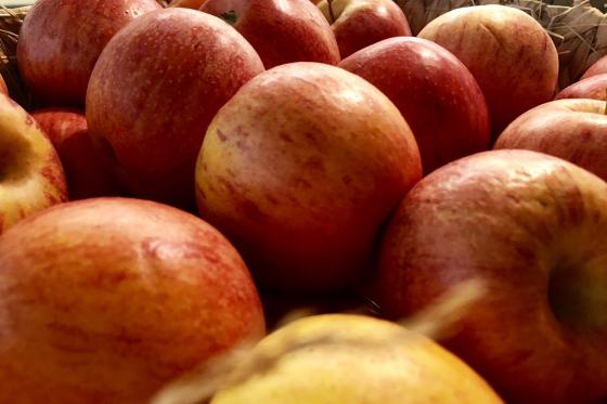 City Trip in Zürich - 1 Übernachtung im Designhotel Plattenhof inkl. Abendessen 7 