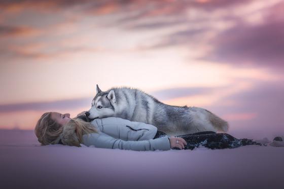 Shooting photo animaux - séance de 30 minutes avec photos retouchées 2 
