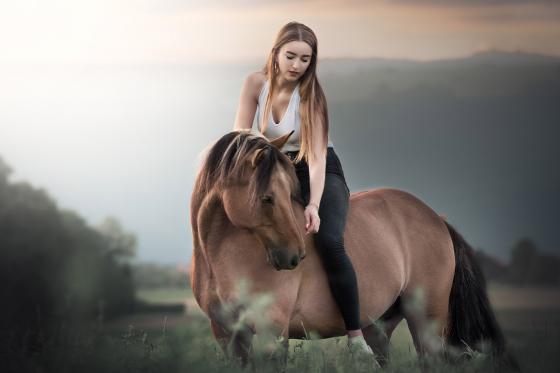 Shooting photo animaux - séance de 30 minutes avec photos retouchées 3 