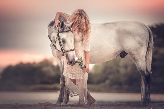 Shooting photo animaux - séance de 30 minutes avec photos retouchées 4 