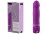 bdesired Deluxe   - Der elegante Vibrator 2