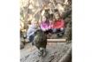 Rendez-vous mit dem Lieblingstier - Erdmännchen, Faultiere, Springtamarin, uvm. 3