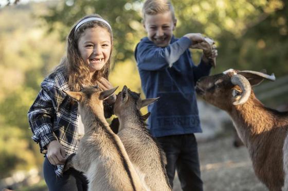 Rendez-vous mit dem Lieblingstier - Erdmännchen, Faultiere, Springtamarin, uvm. 1 