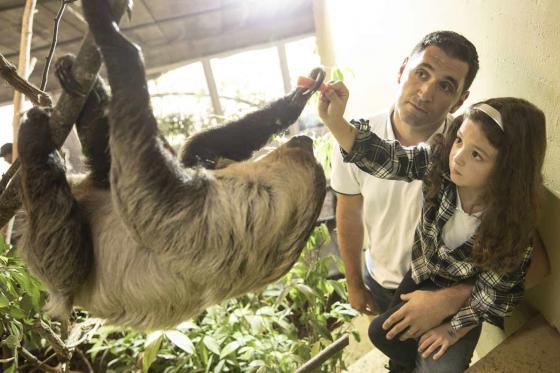 Rendez-vous mit dem Lieblingstier - Erdmännchen, Faultiere, Springtamarin, uvm. 5 