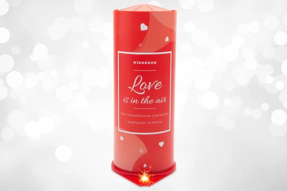 Wishbomb Love - L'explosion d'amour 1 