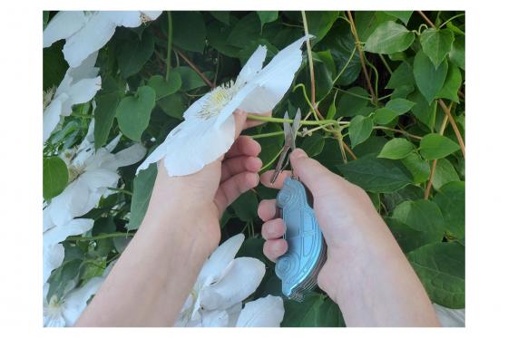 VW Taschenmesser - Blau 4 