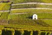 Dégustation de vin pour deux - Cave Ardevaz (VS) avec apéritif & bouteille offerte 1