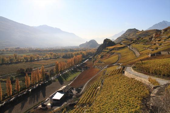 Dégustation de vin pour deux - Cave L'Orpailleur (VS) avec apéritif et 2 bouteilles offertes 1  Dégustation de vin pour deux - Cave L'Orpailleur (VS) avec apéritif et 2 bouteilles offertes 1