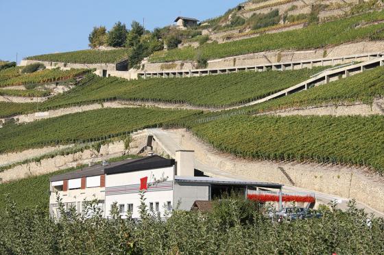 Dégustation de vin pour deux - Cave L'Orpailleur (VS) avec apéritif et 2 bouteilles offertes 2  Dégustation de vin pour deux - Cave L'Orpailleur (VS) avec apéritif et 2 bouteilles offertes 2