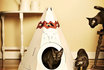 Katzenspielhaus - Tipi Zelt 