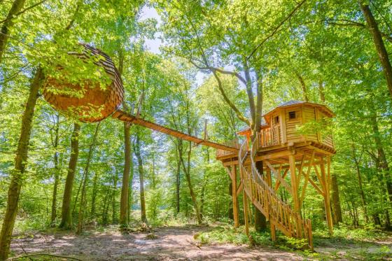 Baumhaus-Übernachtung - 1 romantische Nacht inkl. Abendessen und Wellness im Nordic-Bad  