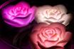 Roses de bain lumineuses - Set de 3 