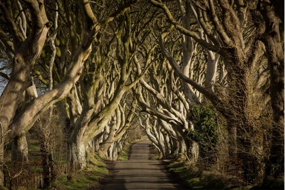 Game of Thrones Drehortreise - 3 Tage, Belfast / Antrim - Irland / Nordirland, 2 Personen 3 