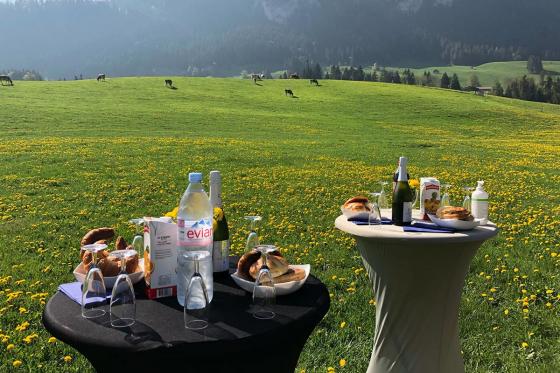 Montgolfière à Fribourg  - 1h de vol pour 2 personnes + photo offerte 9 