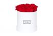 Rosenbox White L - Royal Red 