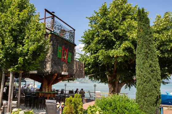 Capanna in albero - Con jacuzzi, colazione e cena a 4 portate 4 