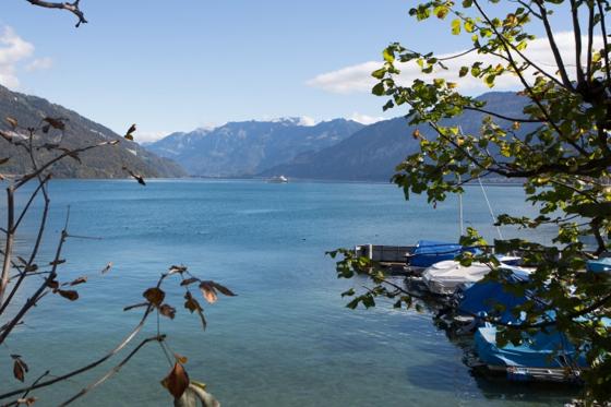 Capanna in albero - Con jacuzzi, colazione e cena a 4 portate 7 