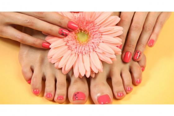 Wishbox - Ladies World 5 