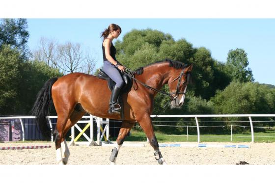 Wishbox - Ladies World 7 