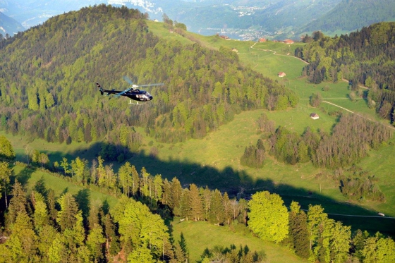 Helikopter Rundflug - Säntis und Zürichsee 4 
