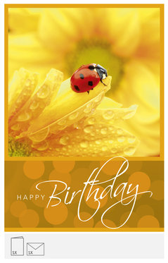 Carte d'anniversaire - avec coccinelle  
