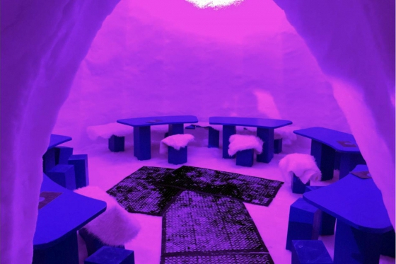 Fondue Genuss im Iglu - in La Rosière für 2 Personen 4 