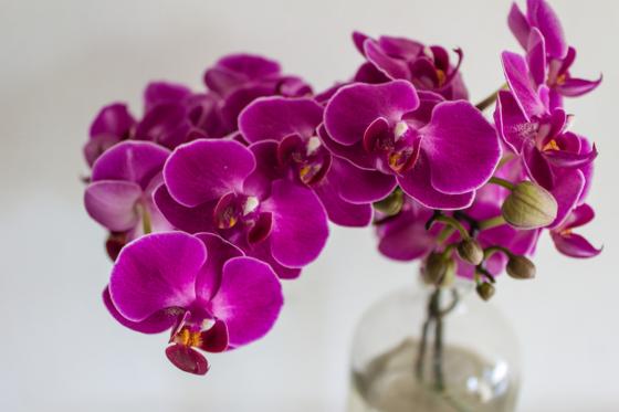 Abonnement de fleurs - Deluxe - 3 livraisons 2 