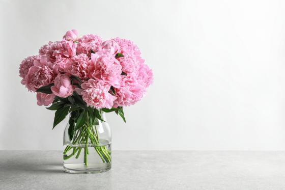 Abonnement de fleurs - Deluxe - 12 livraisons 1 