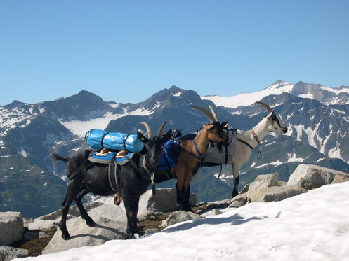 Coffret cadeau - FamilyAction 3 