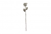 ROSE EN PLATINE - 43 cm 3