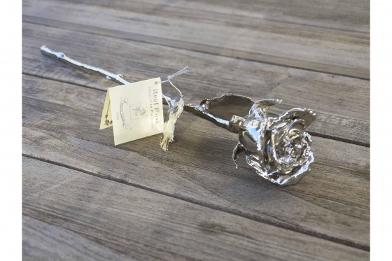 Platinrose (43cm) - Eingehüllt in echtem Platin 1 
