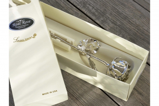 Platinrose (43cm) - Eingehüllt in echtem Platin 2 