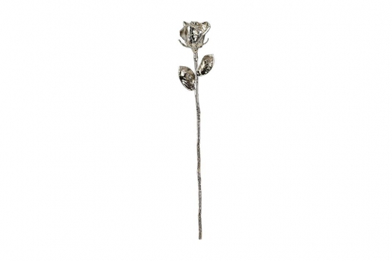 Platinrose (43cm) - Eingehüllt in echtem Platin 3 