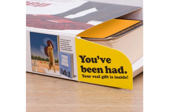 Scherzverpackung - Haustier-Mop 3 