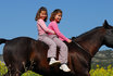 Kinder Geburtstag - Geschenkidee mit Pferden 