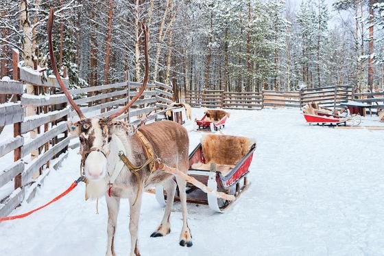 Besuch beim Weihnachtsmann - 4 Tage inkl. Besuch beim Weihnachtsmanndorf und ICE Restaurant 1 