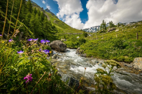 Kurzferien in den Bergen für 2 - inkl. 4-Gang Dinner & Trottinettabfahrt  