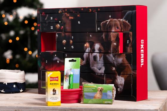 Calendrier de l'Avent pour chiens - avec  jeux et soins  