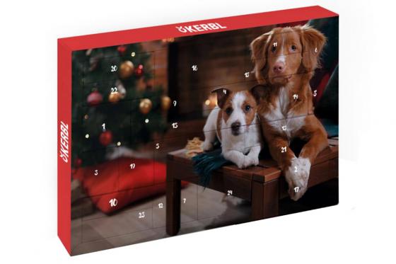 Calendrier de l'Avent pour chiens - avec  jeux et soins 1 