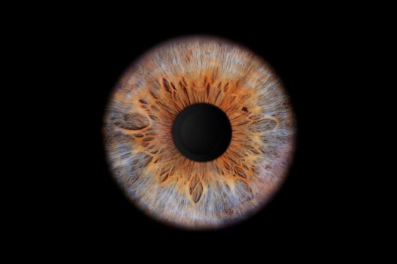 Iris Shooting - für 2 Personen  2 