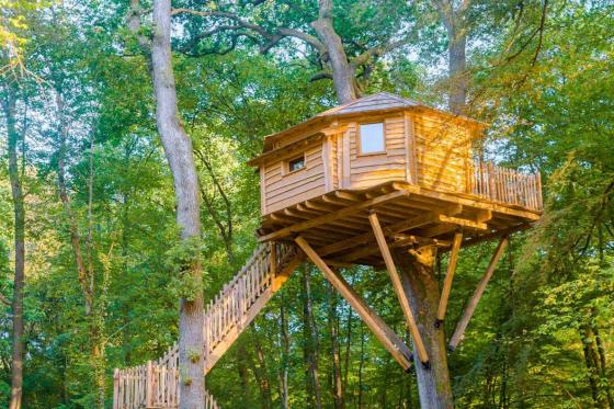 Baumhaus-Übernachtung  - für 2 Personen inkl. Frühstück  