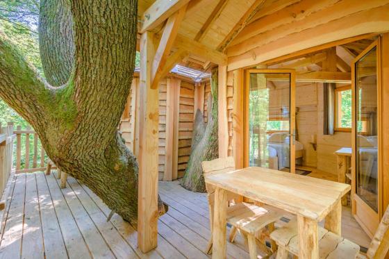 Familien-Baumhaus - 1 Nacht für 5 Personen inkl. Frühstück 10 