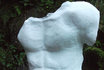 Calco in gesso in regalo - Calco del torso 