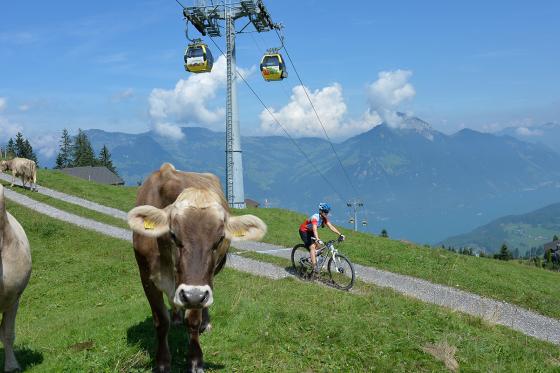 Zmorge Gondel für 2 Personen  - Frühstück in luftiger Höhe inkl. Berg- und Talfahrt 4 