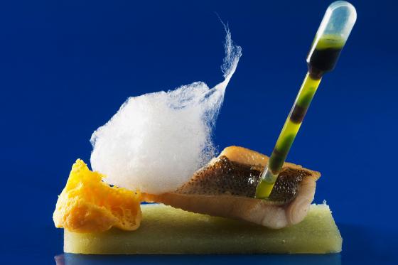 Molekulare Küche - 8 Gang Dinner 1 