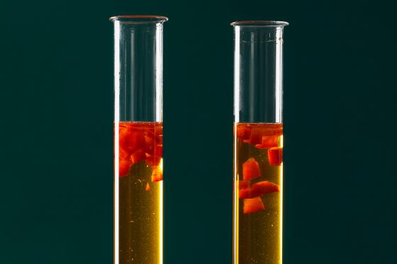 Molekulare Küche - 8 Gang Dinner 2 