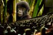 Eintritt Filmtheater - im Verkehrshaus | 1x Erwachsene 
