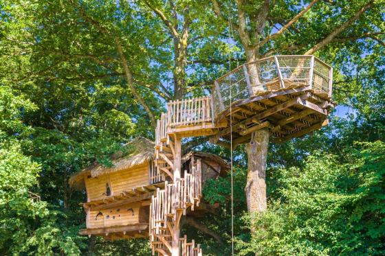 Baumhaus-Übernachtung - 2 Nächte für bis zu 7 Personen inkl. Frühstück 2 