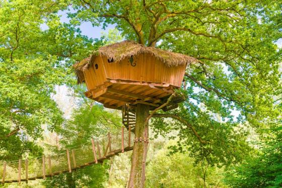 Baumhaus-Übernachtung - 1 Nacht für 2 Personen inkl. Frühstück  