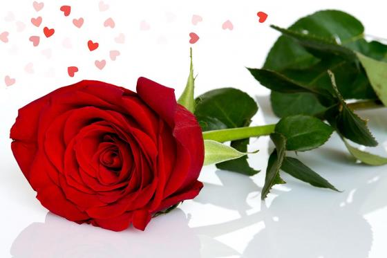 Love Geschenkset - 4 Romantische Geschenke 8 